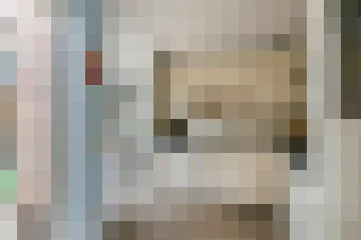 Zonnedauw 175 Tiel thumbnail 19