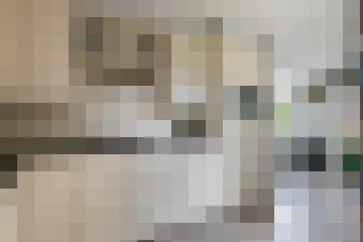 Zonnedauw 175 Tiel thumbnail 20