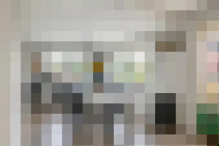 Zonnedauw 175 Tiel thumbnail 21