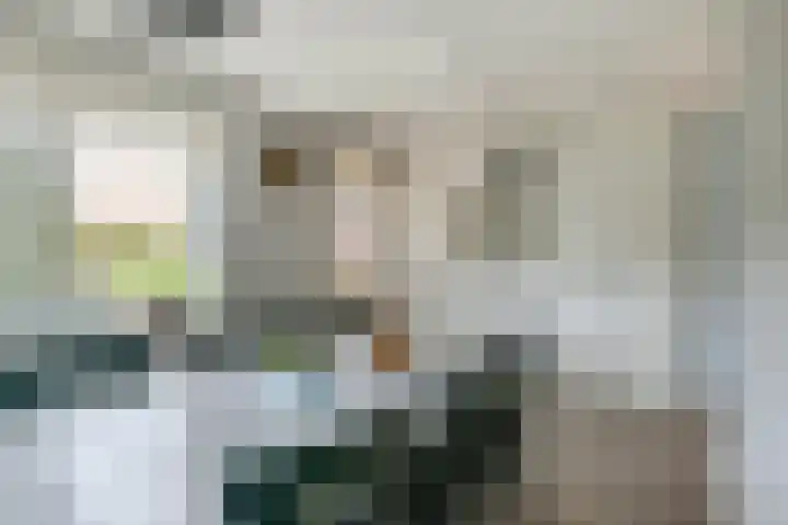 Zonnedauw 175 Tiel thumbnail 23