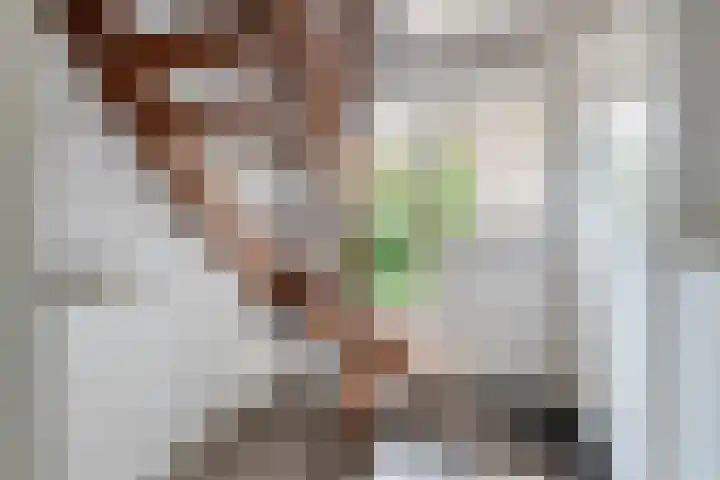 Zonnedauw 175 Tiel thumbnail 24