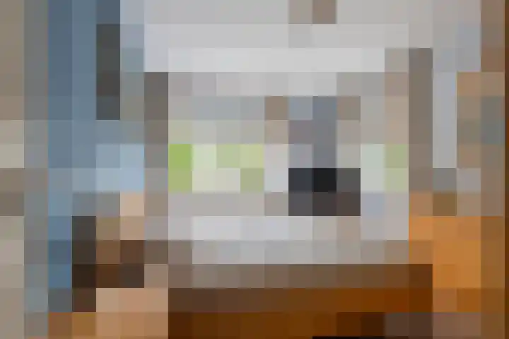 Zonnedauw 175 Tiel thumbnail 25