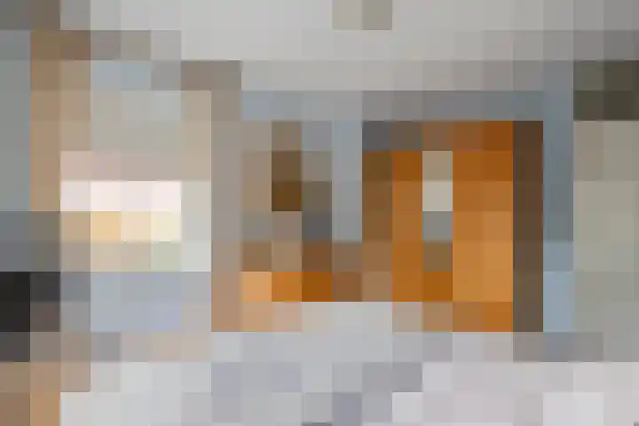 Zonnedauw 175 Tiel thumbnail 26