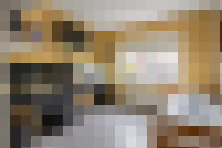 Zonnedauw 175 Tiel thumbnail 27