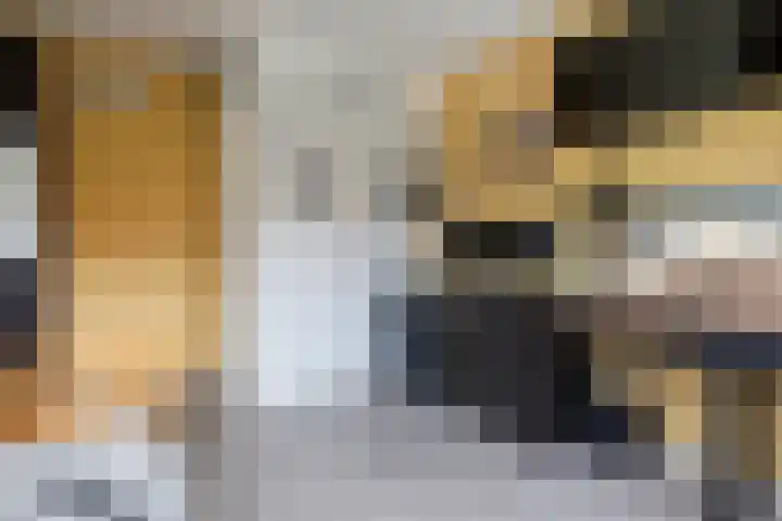 Zonnedauw 175 Tiel thumbnail 28