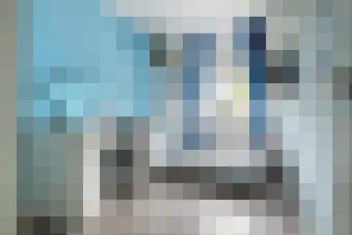 Zonnedauw 175 Tiel thumbnail 29