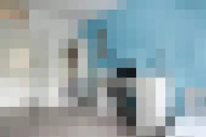 Zonnedauw 175 Tiel thumbnail 30