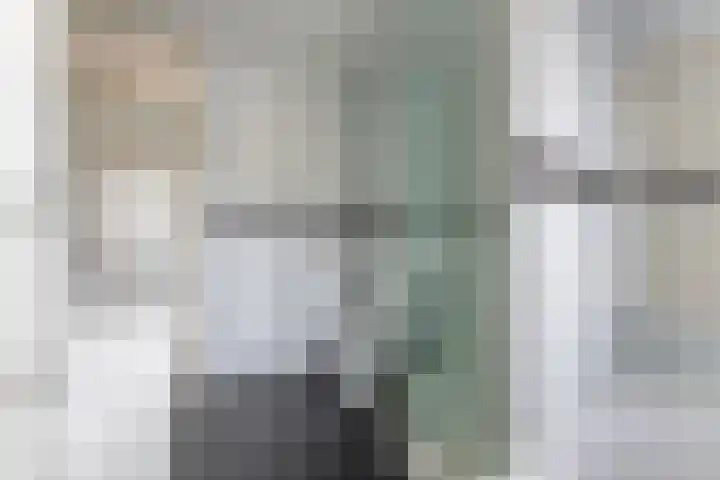 Zonnedauw 175 Tiel thumbnail 32
