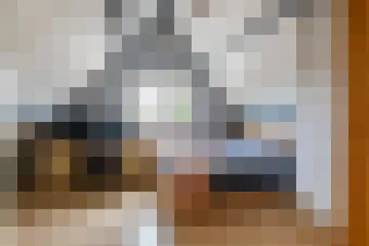 Zonnedauw 175 Tiel thumbnail 34