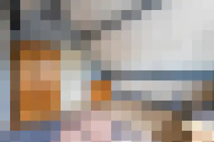 Zonnedauw 175 Tiel thumbnail 35