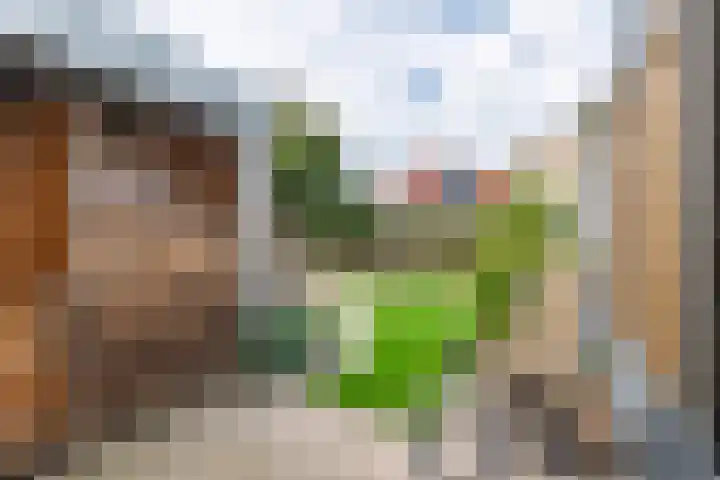 Zonnedauw 175 Tiel thumbnail 38