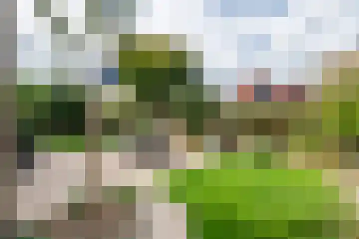 Zonnedauw 175 Tiel thumbnail 39