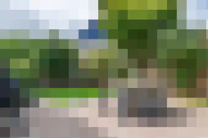 Zonnedauw 175 Tiel thumbnail 40