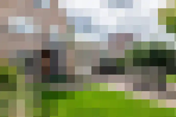 Zonnedauw 175 Tiel thumbnail 41