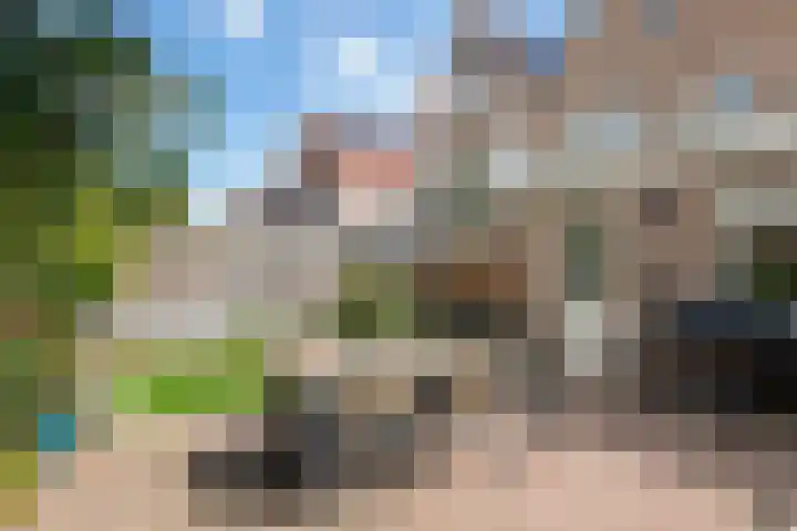 Zonnedauw 175 Tiel thumbnail 42