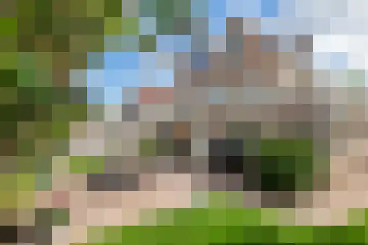 Zonnedauw 175 Tiel thumbnail 43