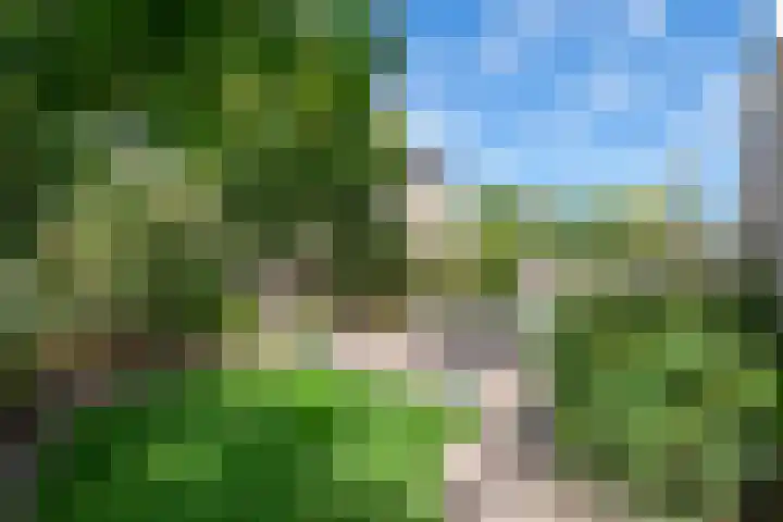 Zonnedauw 175 Tiel thumbnail 44