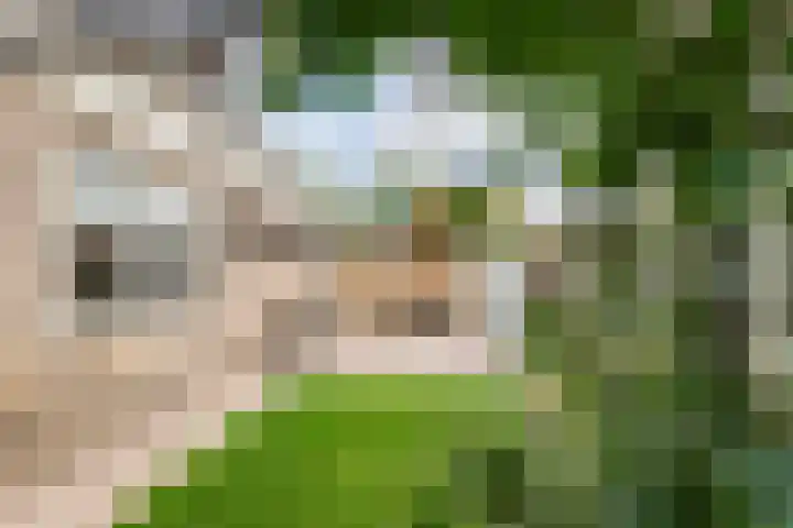 Zonnedauw 175 Tiel thumbnail 45