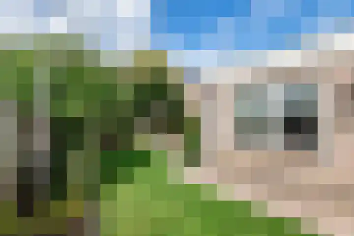 Zonnedauw 175 Tiel thumbnail 46