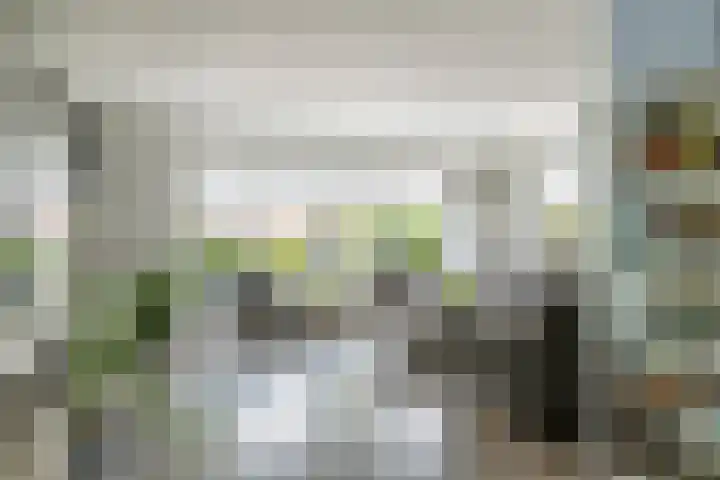 Zonnedauw 175 Tiel thumbnail 5