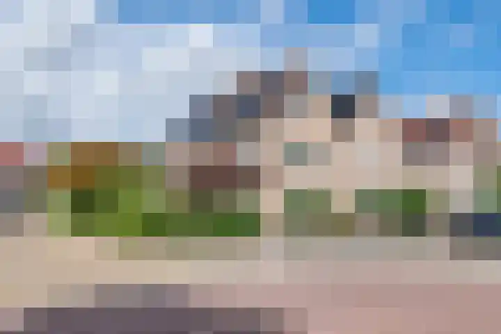 Zonnedauw 175 Tiel thumbnail 50