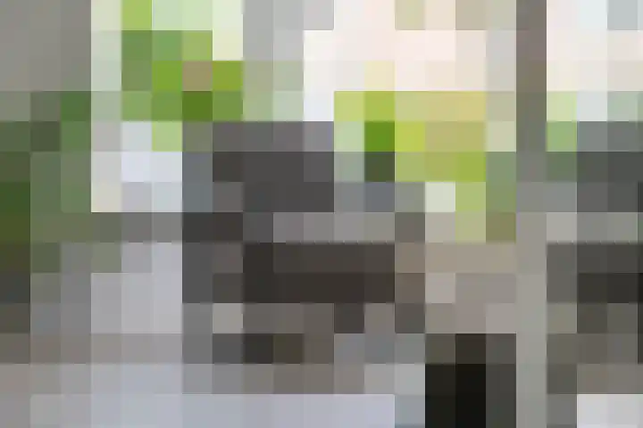 Zonnedauw 175 Tiel thumbnail 6