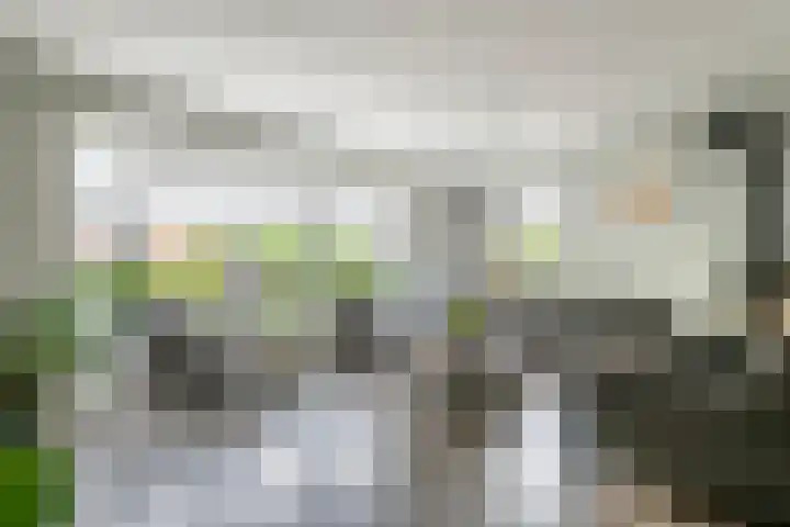 Zonnedauw 175 Tiel thumbnail 7