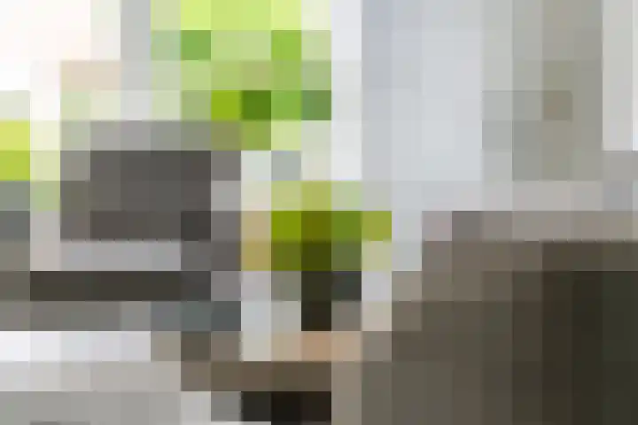 Zonnedauw 175 Tiel thumbnail 8