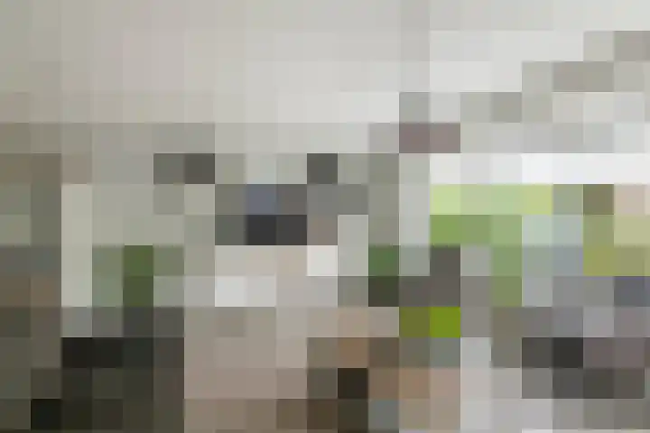 Zonnedauw 175 Tiel thumbnail 9