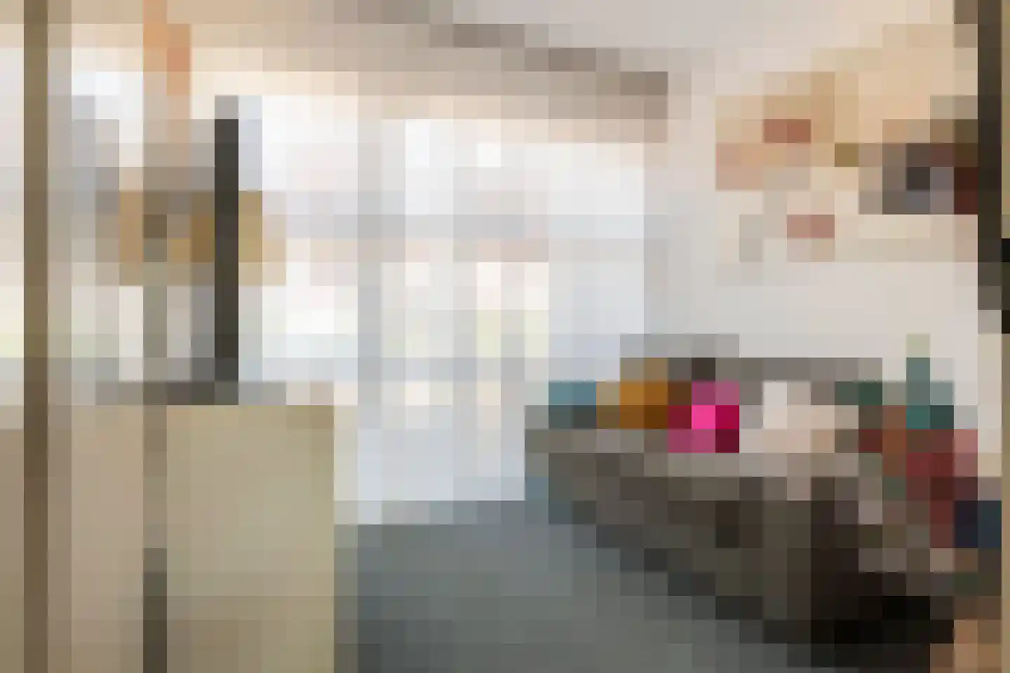 Zonnedauw 176 Tiel thumbnail 10