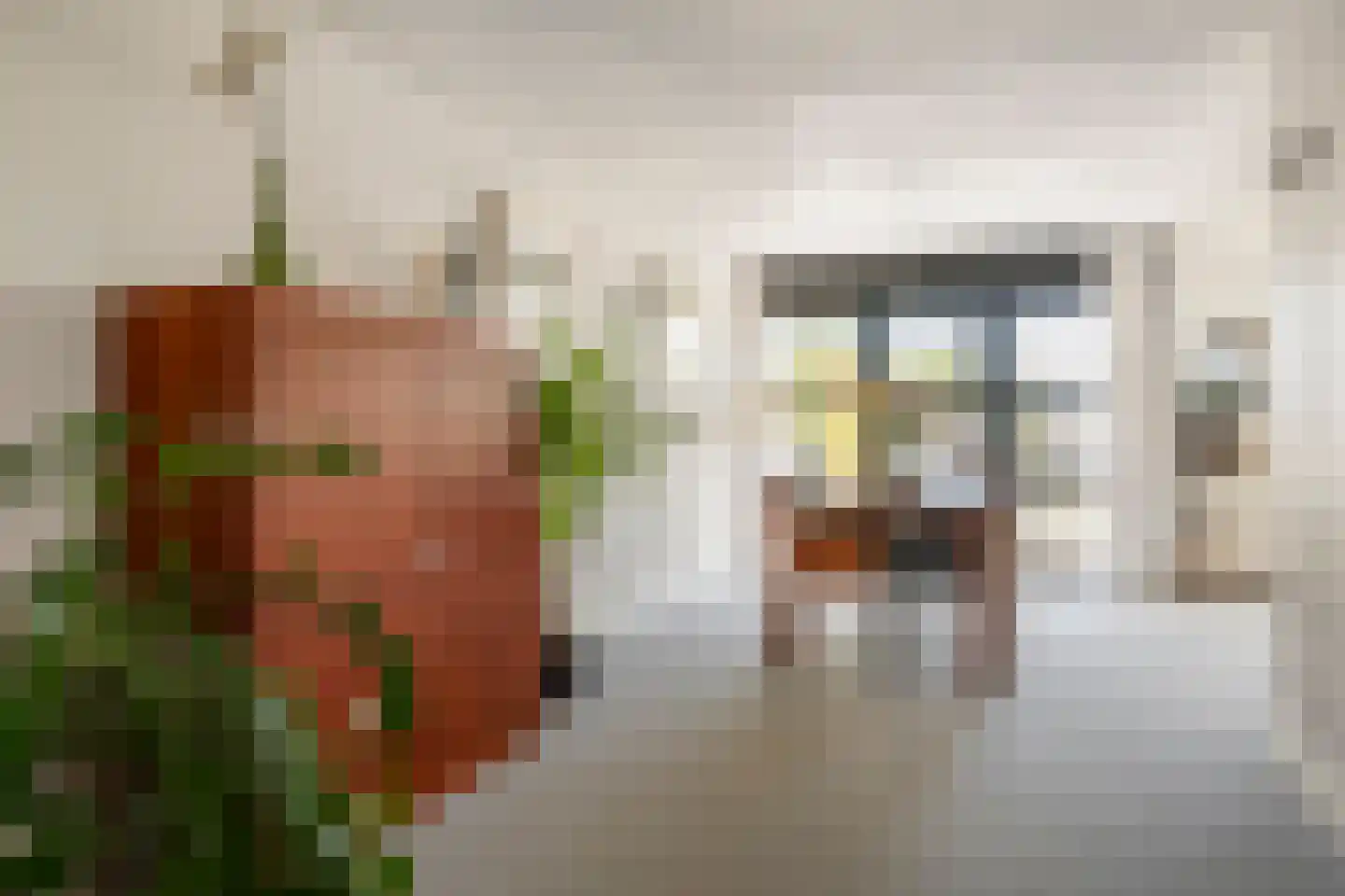 Zonnedauw 176 Tiel thumbnail 12