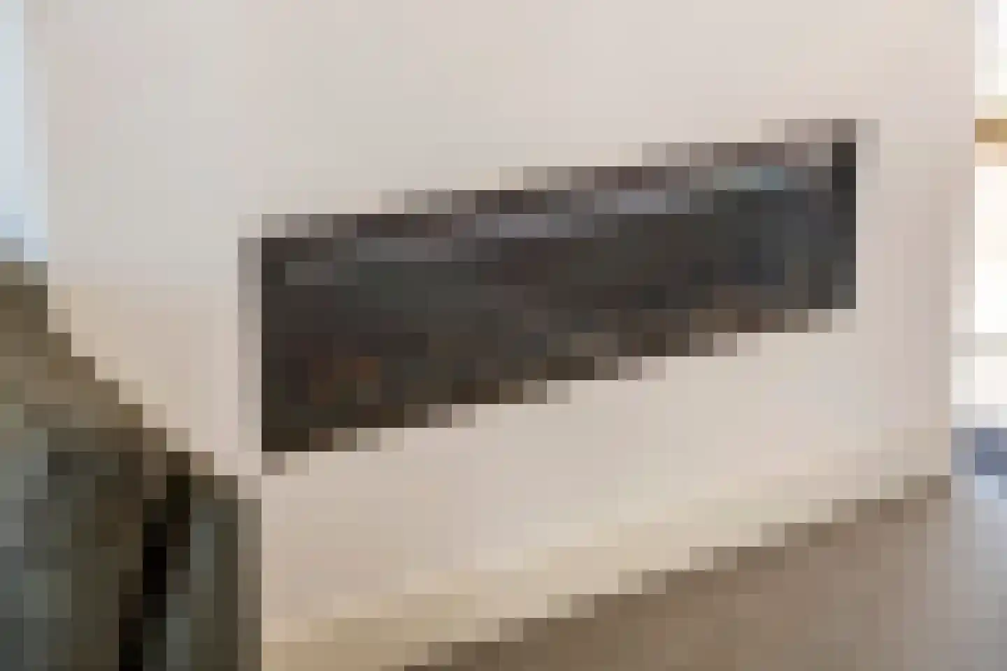 Zonnedauw 176 Tiel thumbnail 17