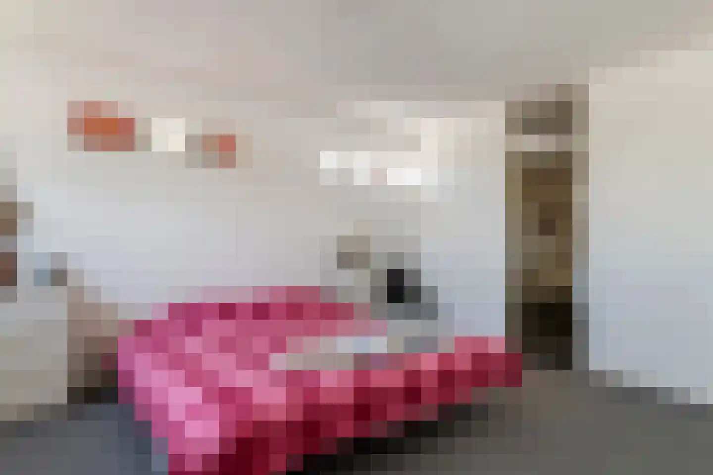Zonnedauw 176 Tiel thumbnail 23