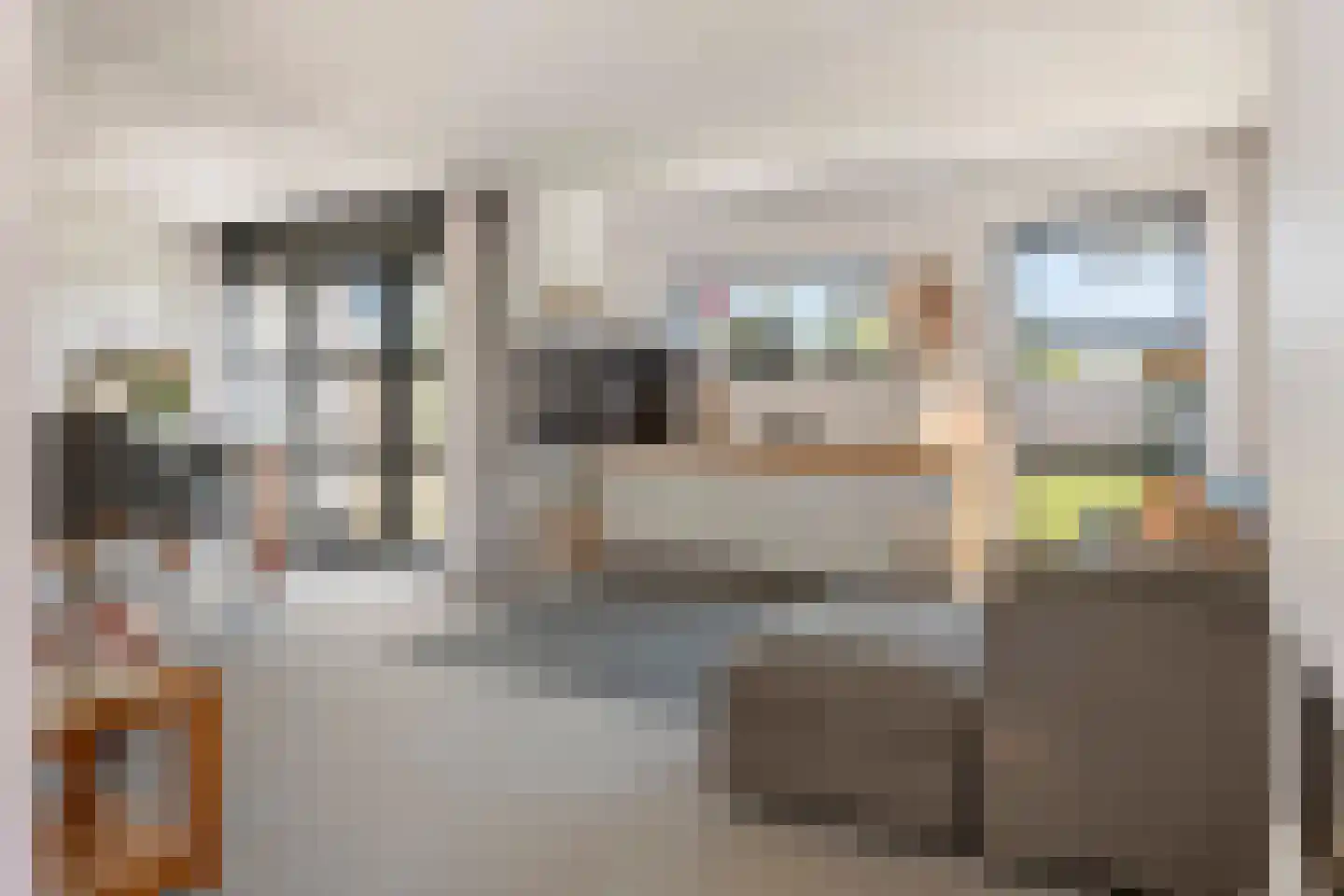 Zonnedauw 176 Tiel thumbnail 4