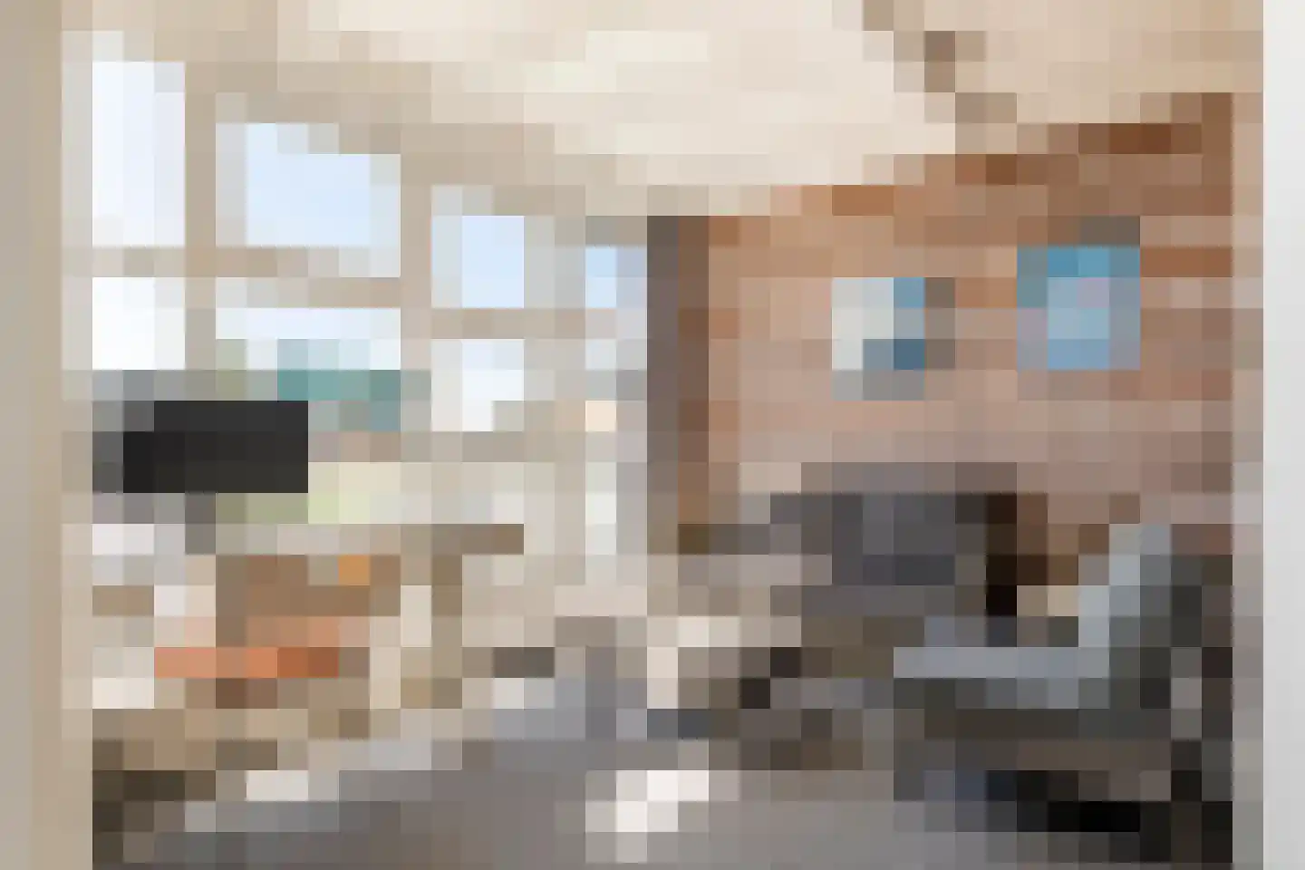 Zonnedauw 176 Tiel thumbnail 40