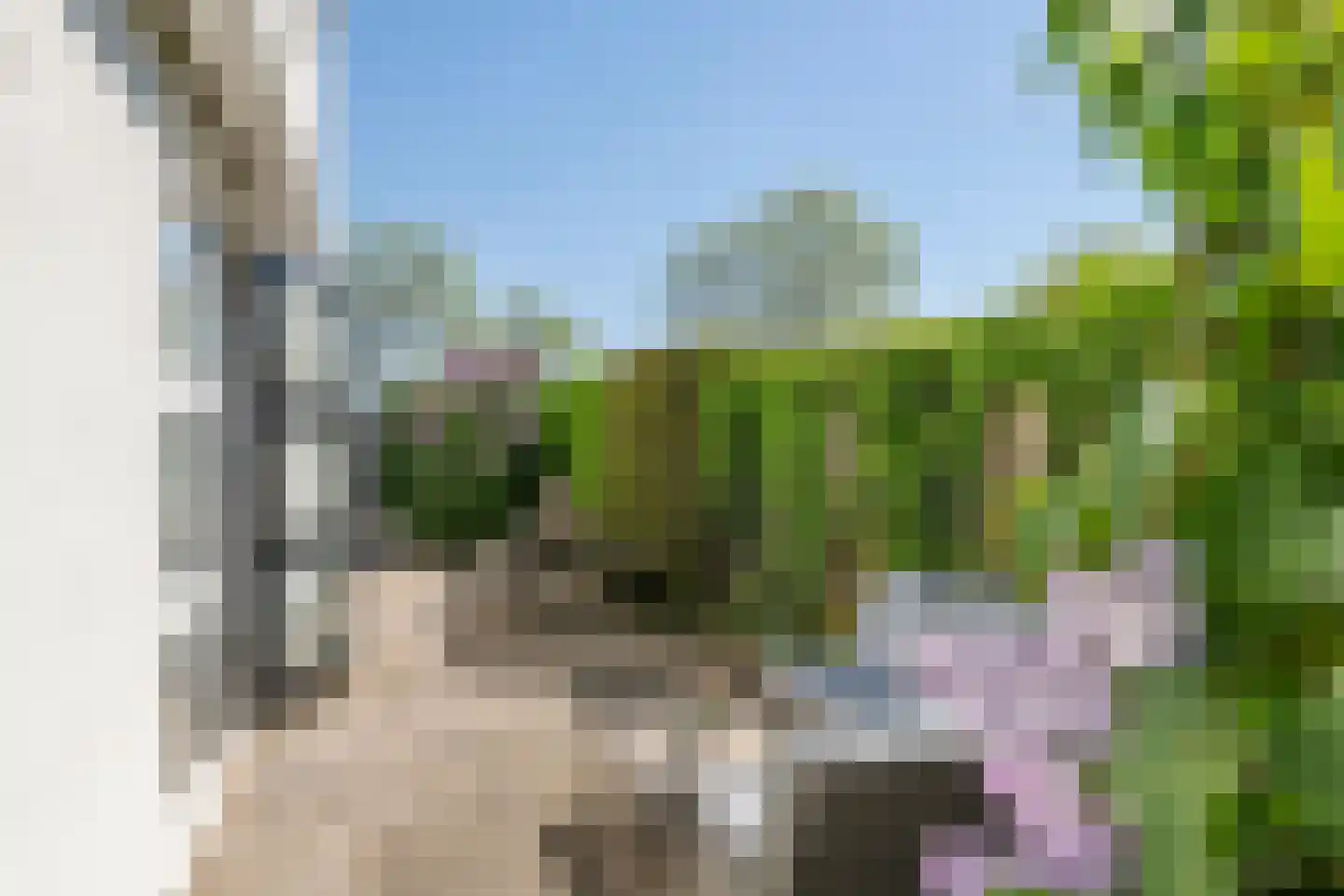 Zonnedauw 176 Tiel thumbnail 49