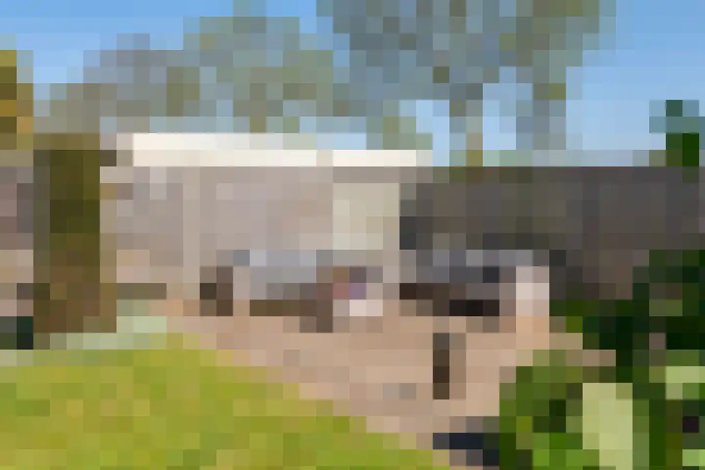 Zonnedauw 176 Tiel thumbnail 51