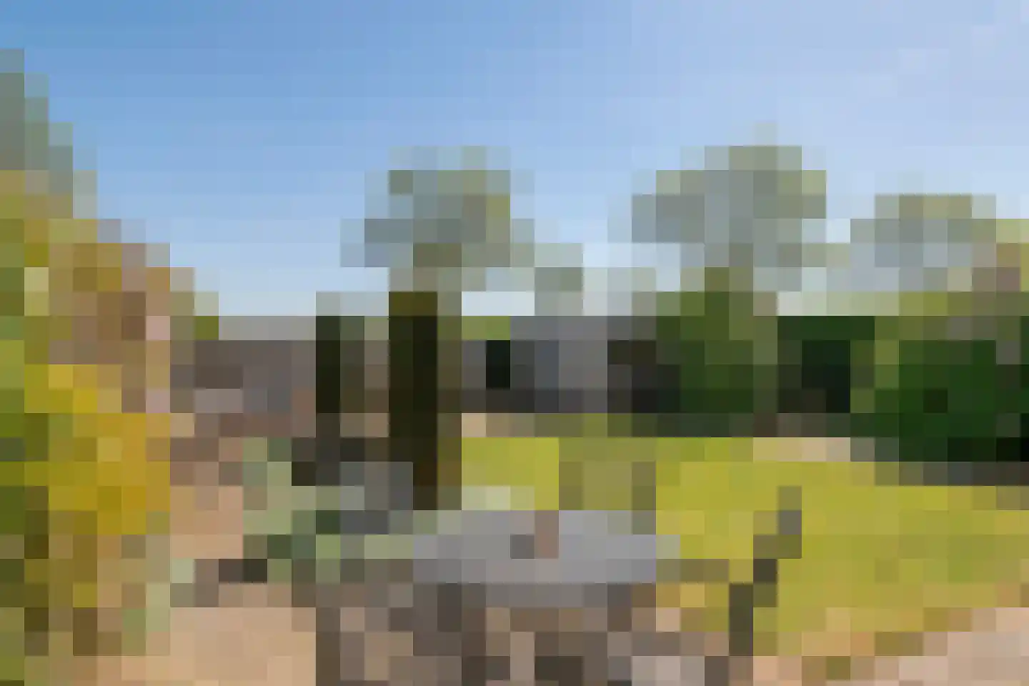 Zonnedauw 176 Tiel thumbnail 52