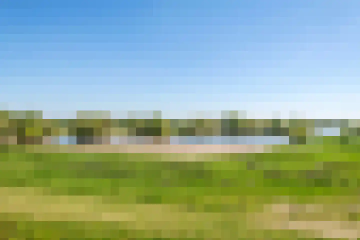 Zonnedauw 176 Tiel thumbnail 58