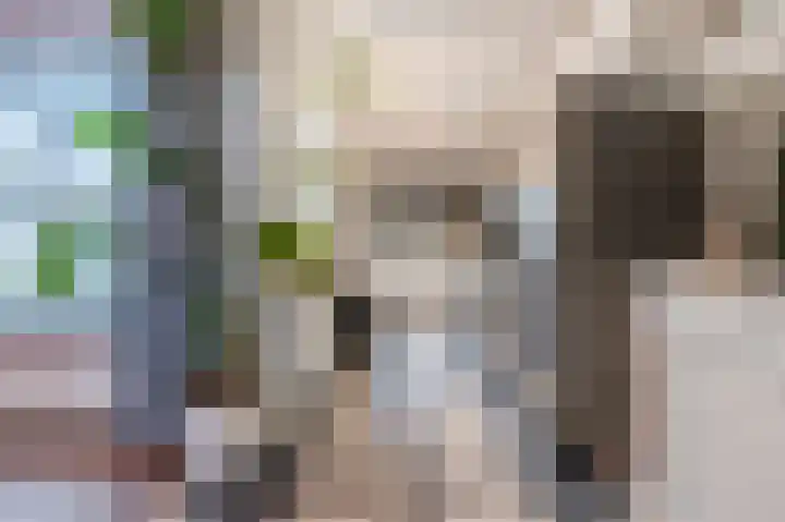 Zonnedauw 18 Mierlo thumbnail 11