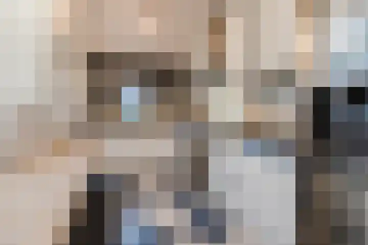 Zonnedauw 18 Mierlo thumbnail 12