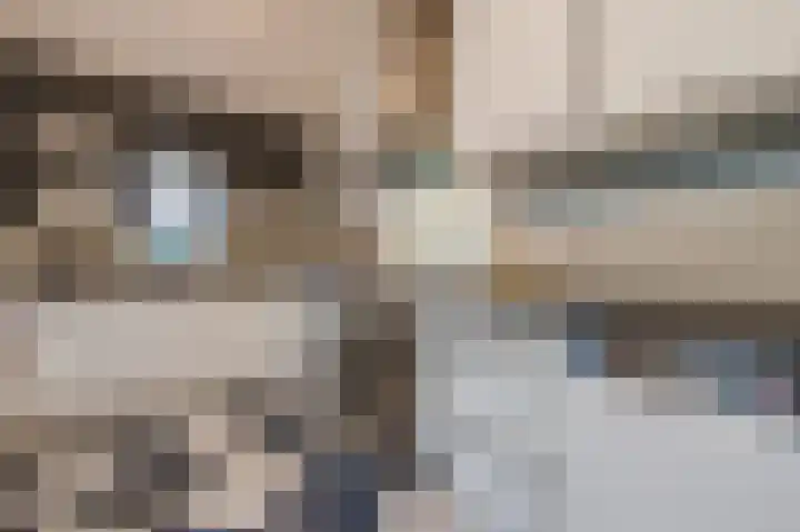 Zonnedauw 18 Mierlo thumbnail 13