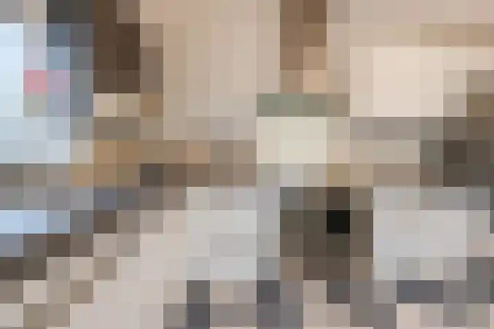 Zonnedauw 18 Mierlo thumbnail 14