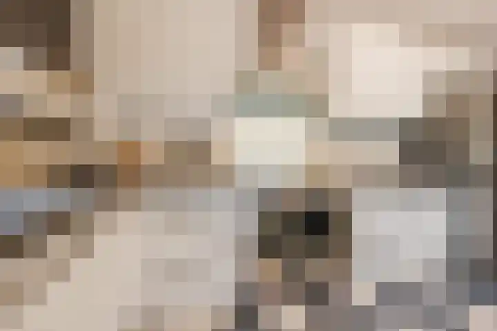 Zonnedauw 18 Mierlo thumbnail 15