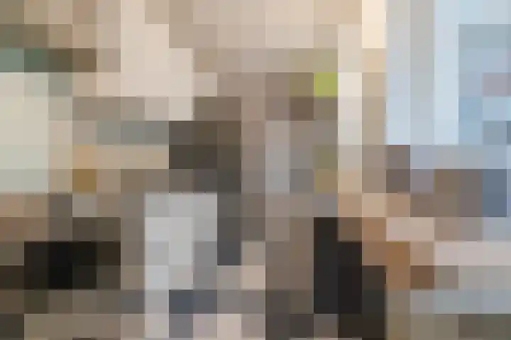 Zonnedauw 18 Mierlo thumbnail 16