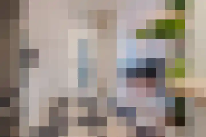 Zonnedauw 18 Mierlo thumbnail 17