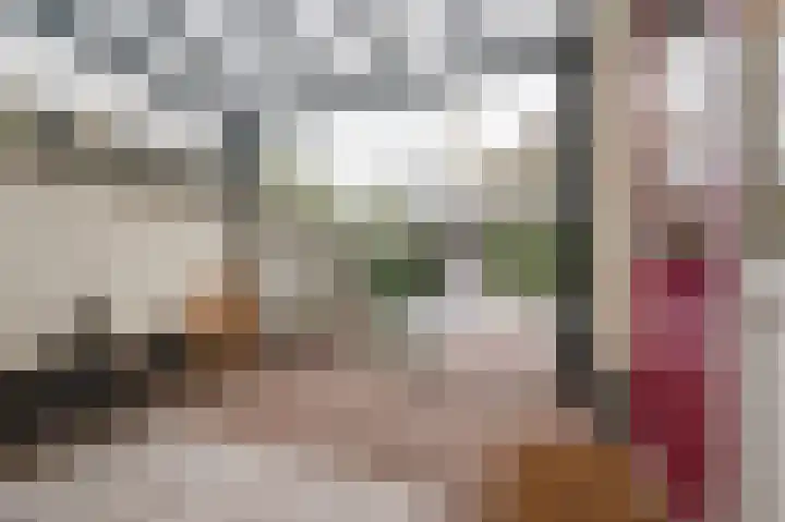 Zonnedauw 18 Mierlo thumbnail 18