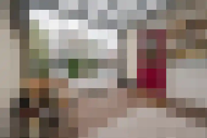 Zonnedauw 18 Mierlo thumbnail 19
