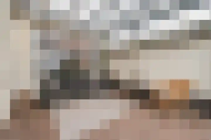 Zonnedauw 18 Mierlo thumbnail 20