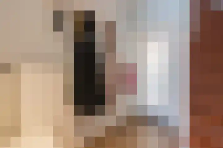 Zonnedauw 18 Mierlo thumbnail 21